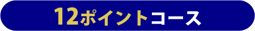 12ポイントコース